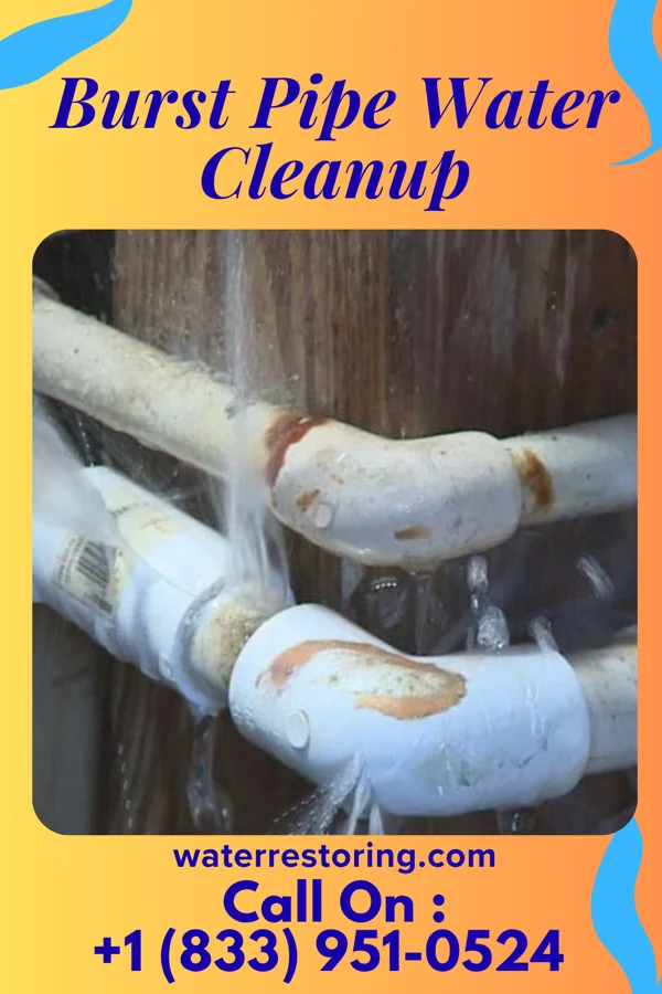 Burst Pipe Water Cleanup in Adamstown, PA
