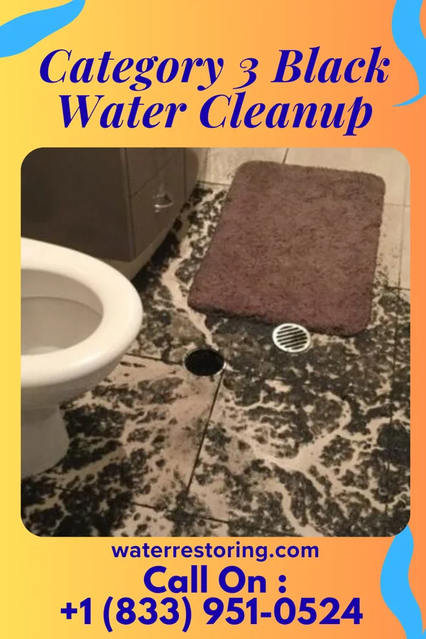 Category 3 Black Water Cleanup in Adamstown, PA